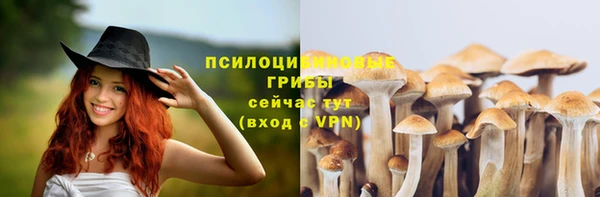 spice Новодвинск