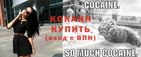 spice Новозыбков
