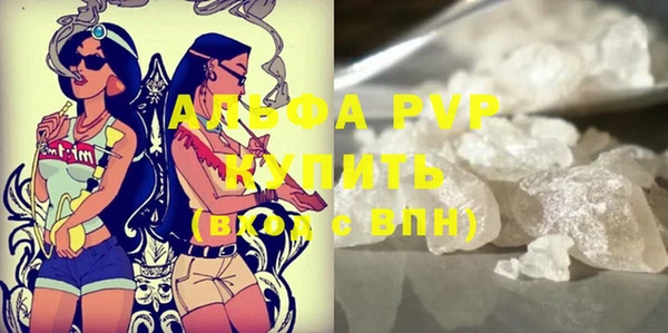 spice Новодвинск