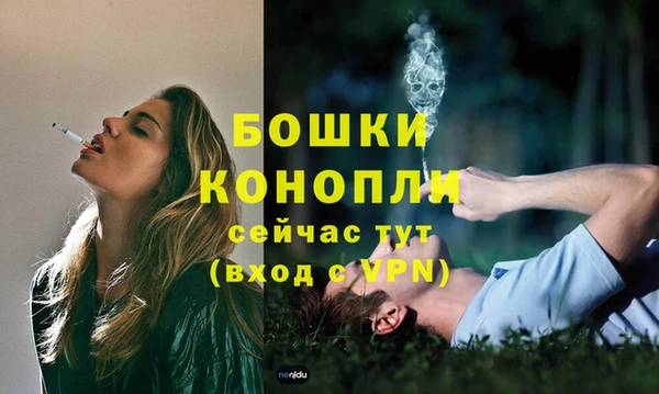 spice Новозыбков