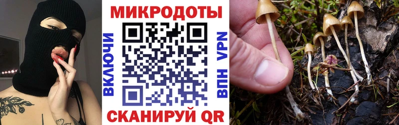 Купить где  Таганрог  Псилоцибиновые грибы Magic Shrooms 